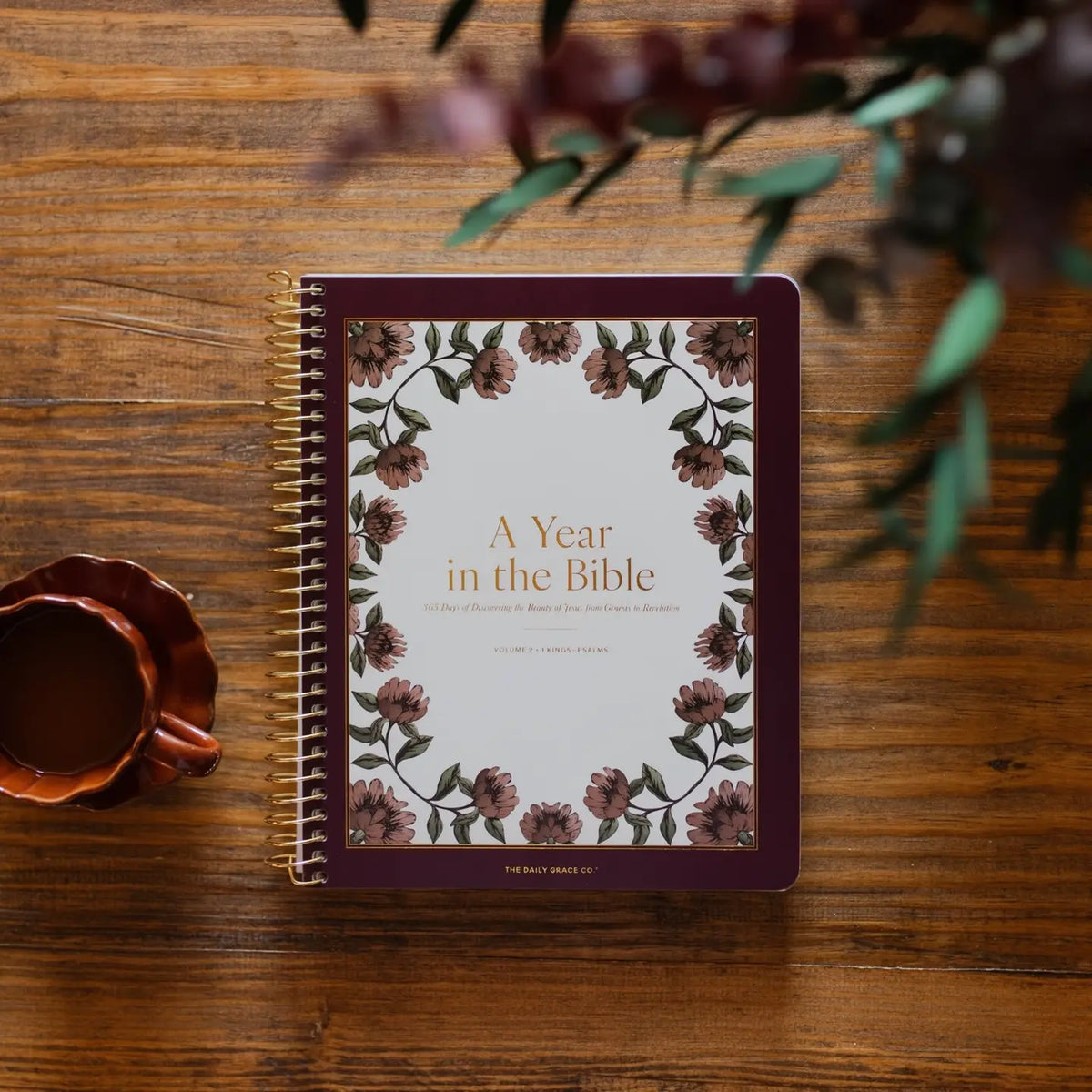 A Year in the Bible | Volume 2 Bible Study