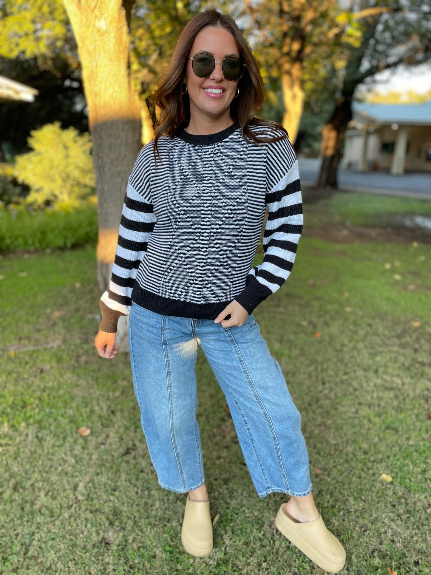 PREORDER: Aspen Striped Sleeve Sweater in Four Colors