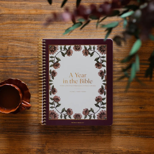 A Year in the Bible | Volume 2 Bible Study